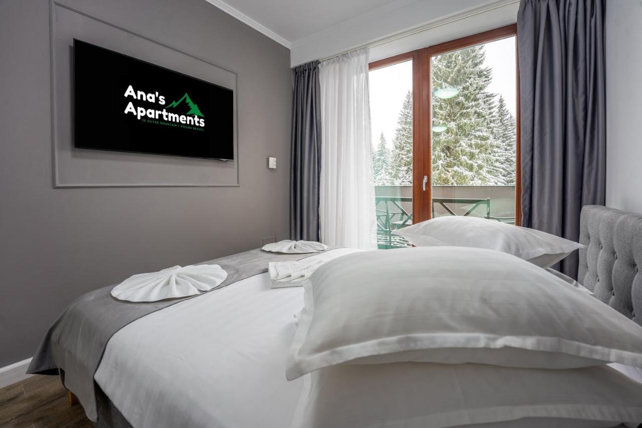 Silver Mountain - Ana'S Apartments 波亚纳布拉索夫 外观 照片